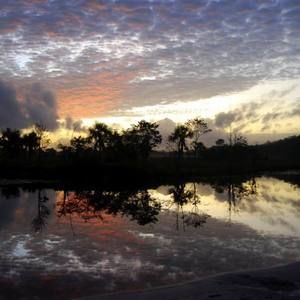 Meet your Posher, Latoya